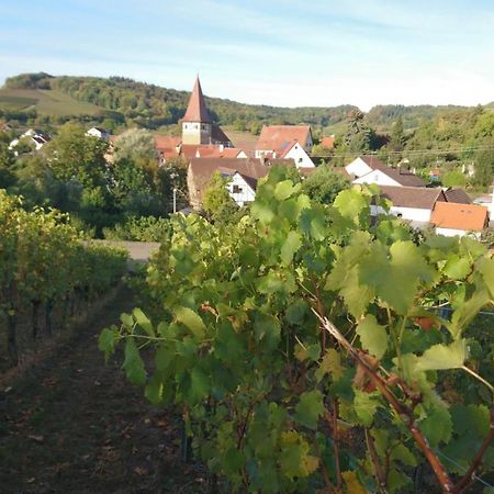 Appartement Weingut Will Und Wuerz Lemberger à Schwaigern Extérieur photo