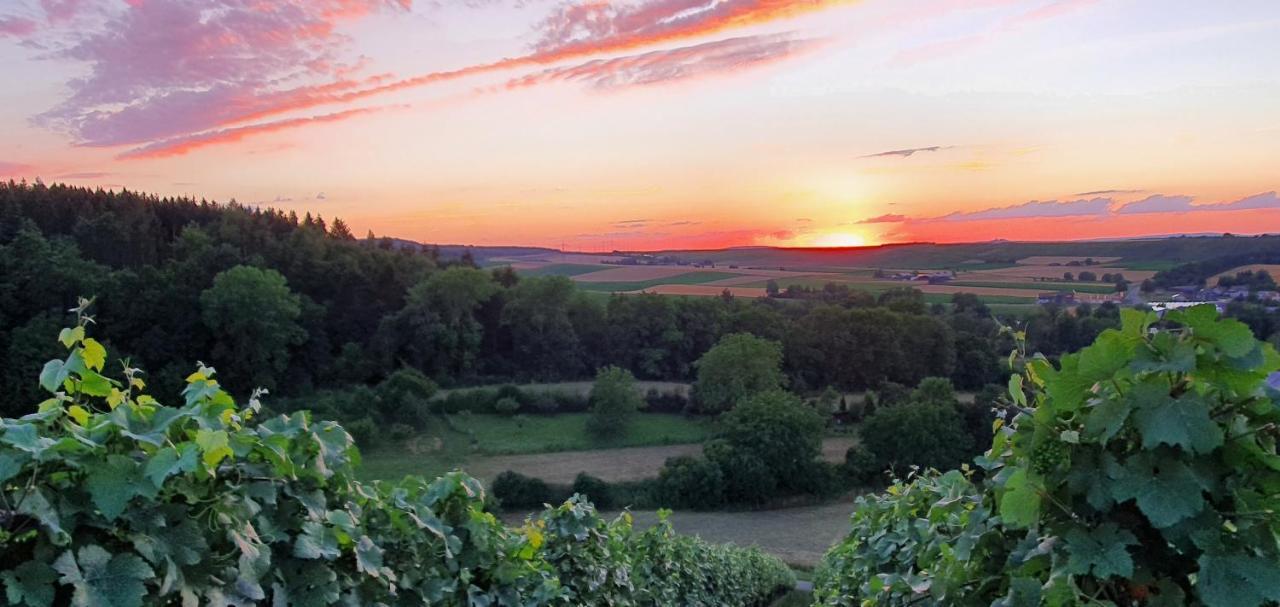 Appartement Weingut Will Und Wuerz Lemberger à Schwaigern Extérieur photo