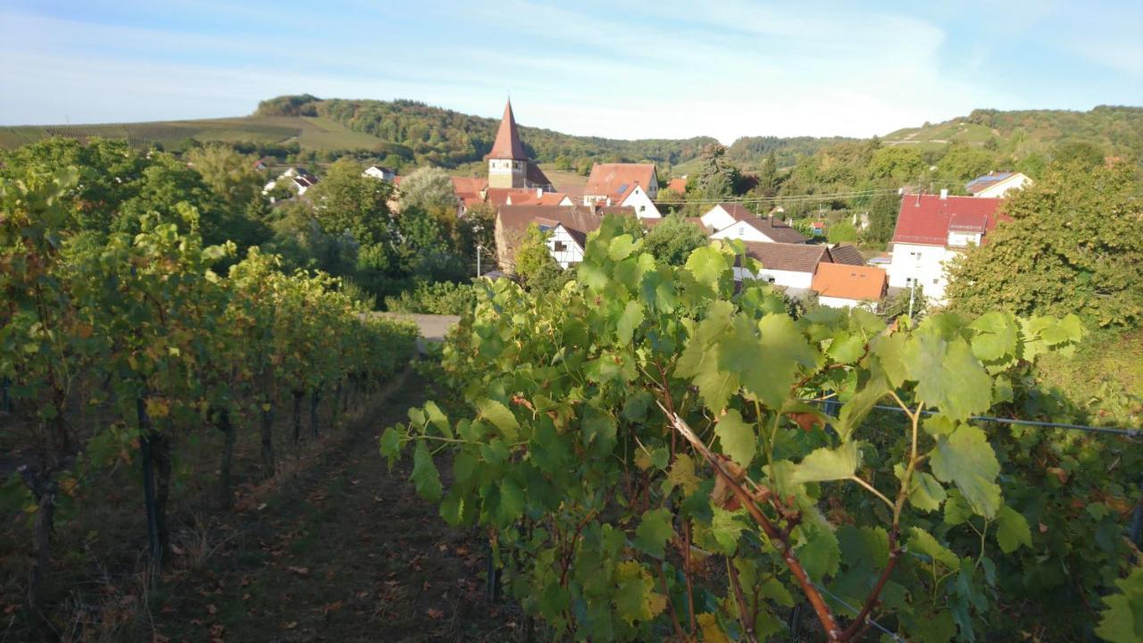 Appartement Weingut Will Und Wuerz Lemberger à Schwaigern Extérieur photo